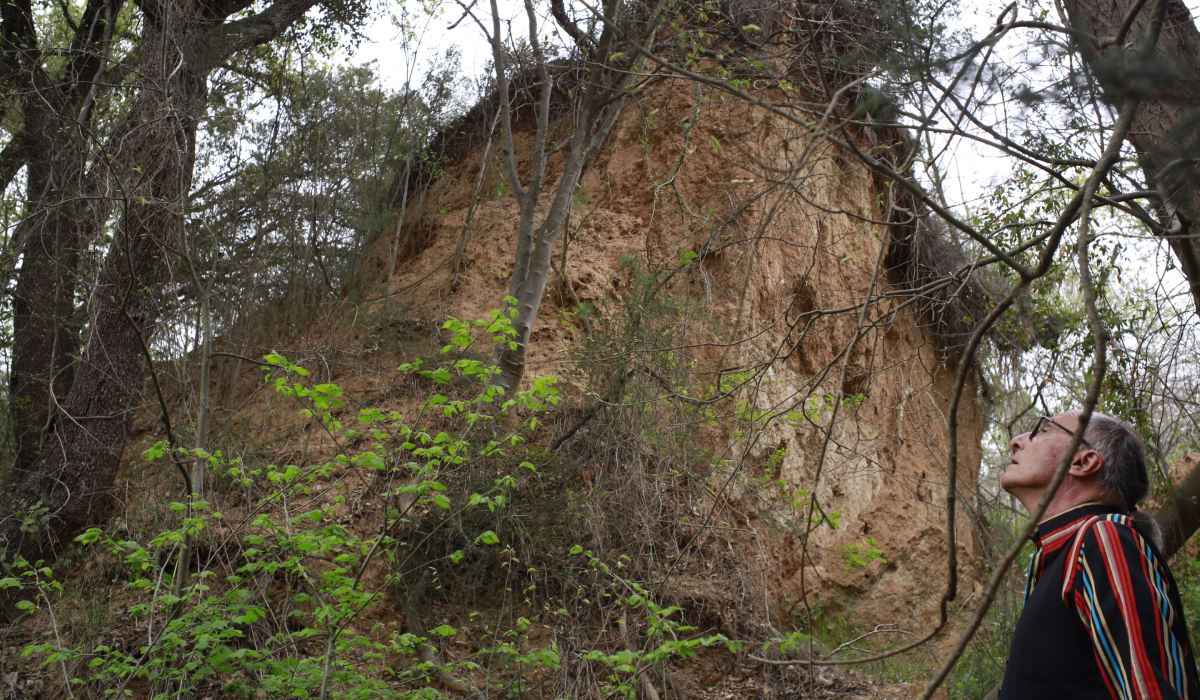 Biblioteca de Pedra seca_Pel·lícula